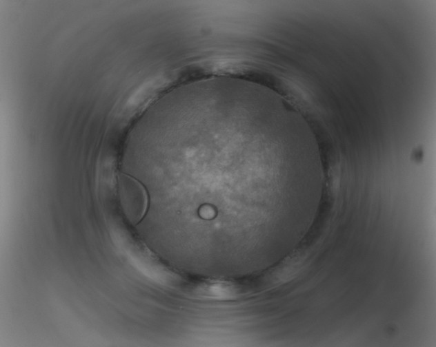 X0000116790506200912181257