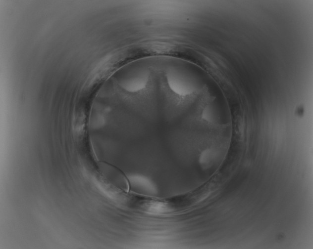 X0000116790507200912181257