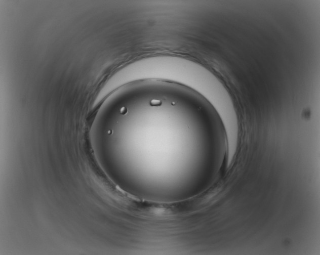 X0000116790509200912181257