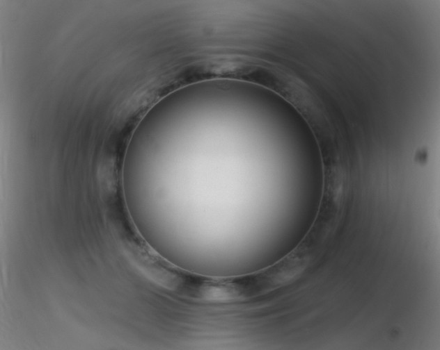 X0000116790510200912181257