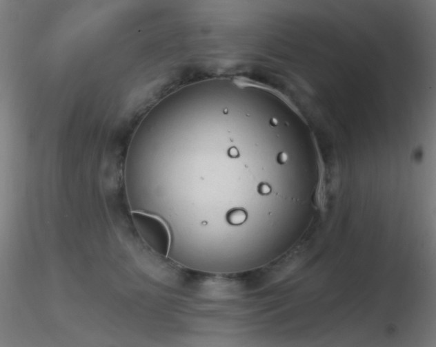 X0000116790515200912181257