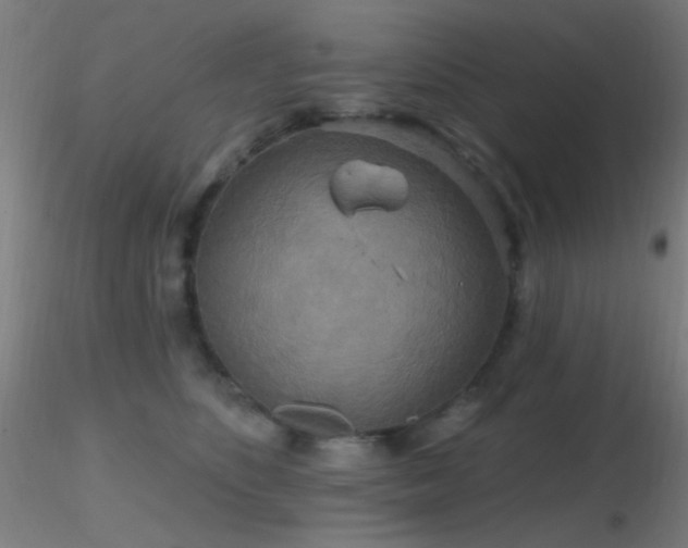 X0000116790516200912181257