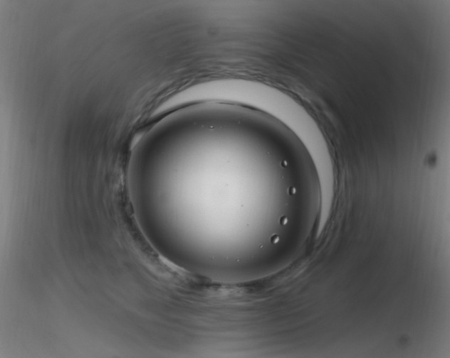 X0000116790517200912181257