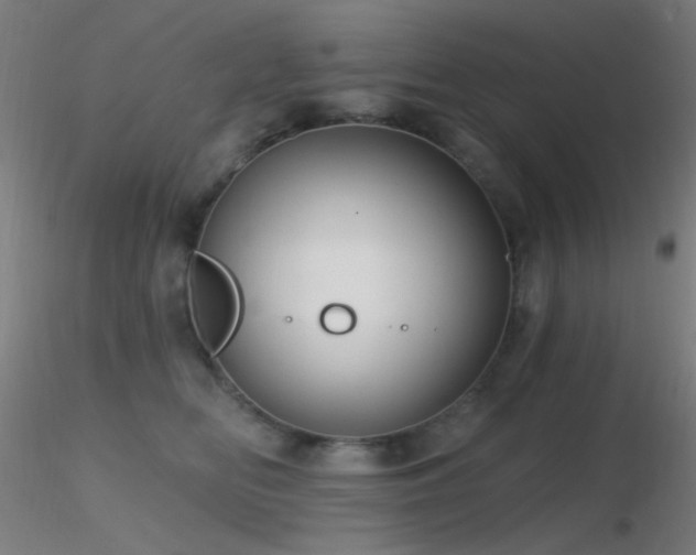 X0000116790518200912181257