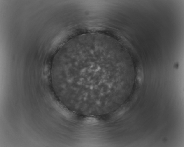 X0000116790519200912181257