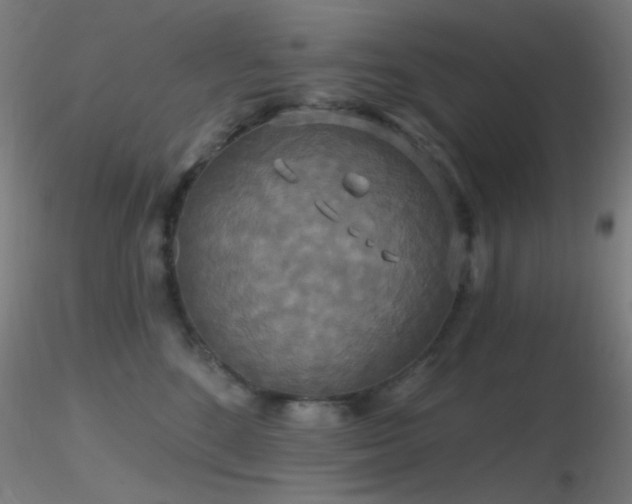 X0000116790520200912181257