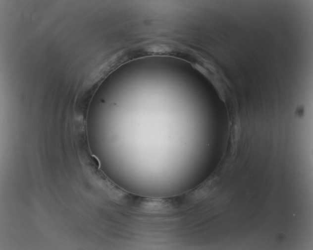 X0000116790521200912181257