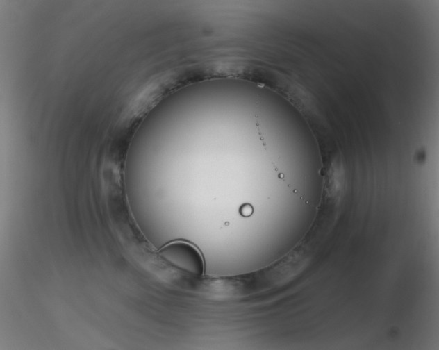 X0000116790522200912181257
