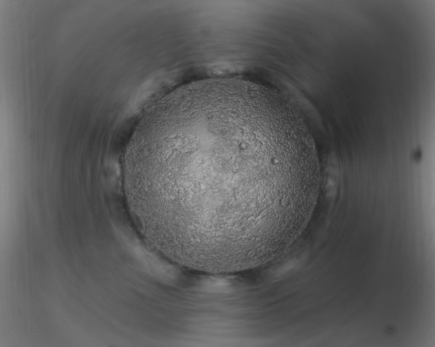 X0000116790523200912181257