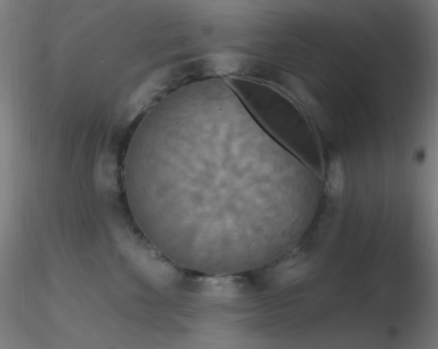X0000116790524200912181257