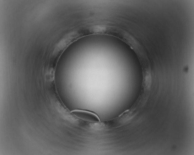 X0000116790525200912181257