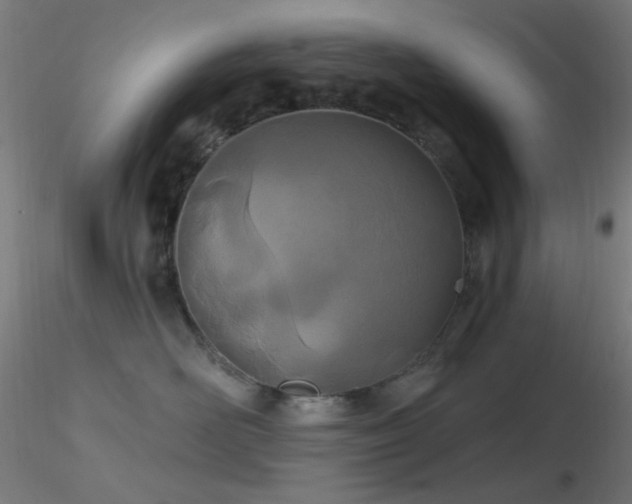 X0000116790526200912181257
