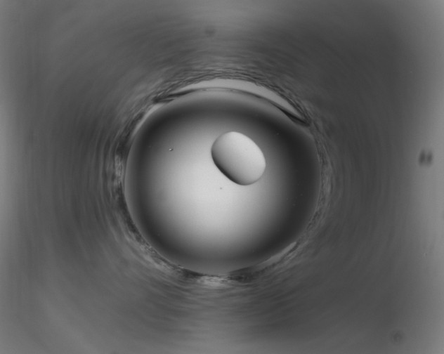 X0000116790528200912181257