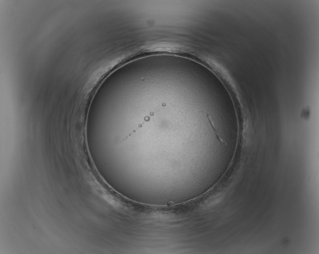 X0000116790529200912181256