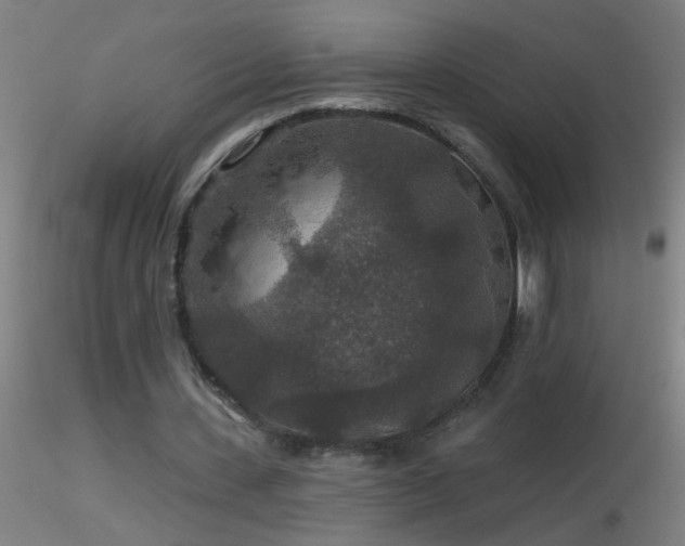 X0000116790531200912181256