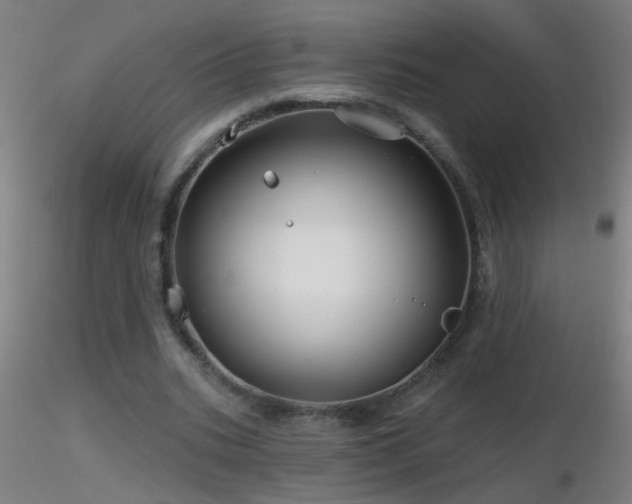 X0000116790535200912181256