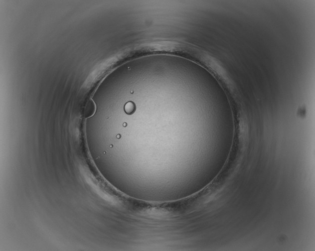 X0000116790537200912181256