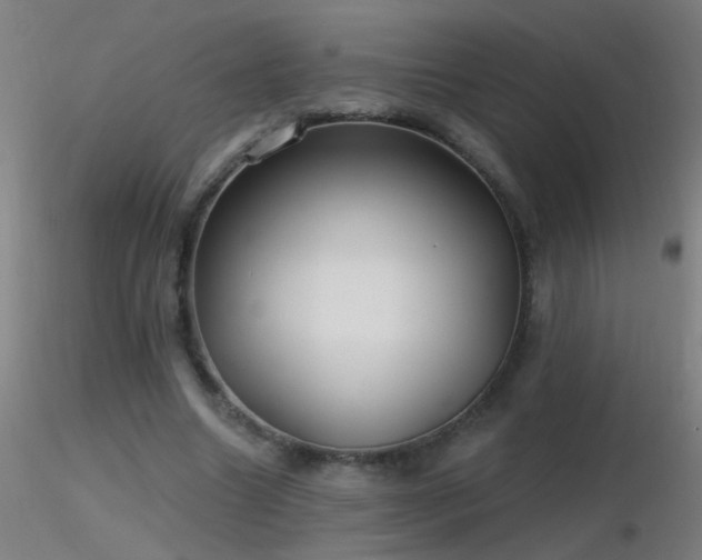 X0000116790538200912181256