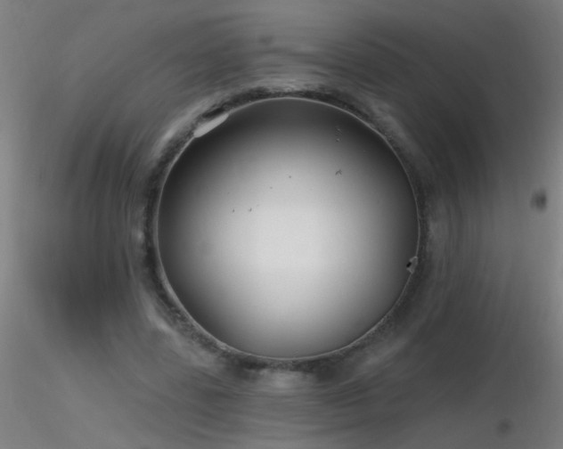 X0000116790539200912181256