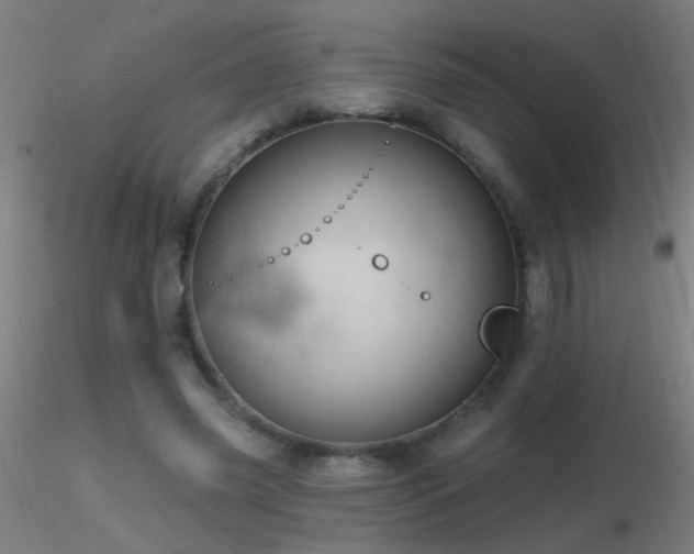 X0000116790541200912181256