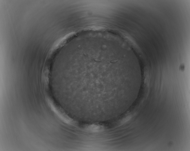 X0000116790542200912181256