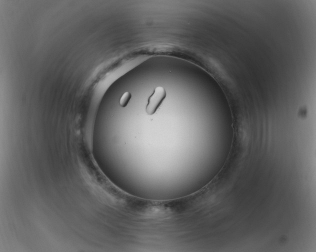 X0000116790543200912181256