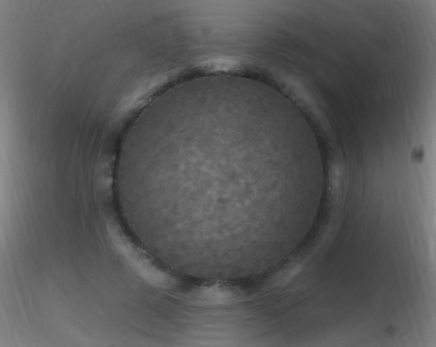 X0000116790545200912181256