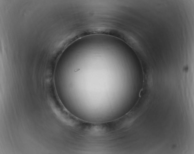 X0000116790546200912181256