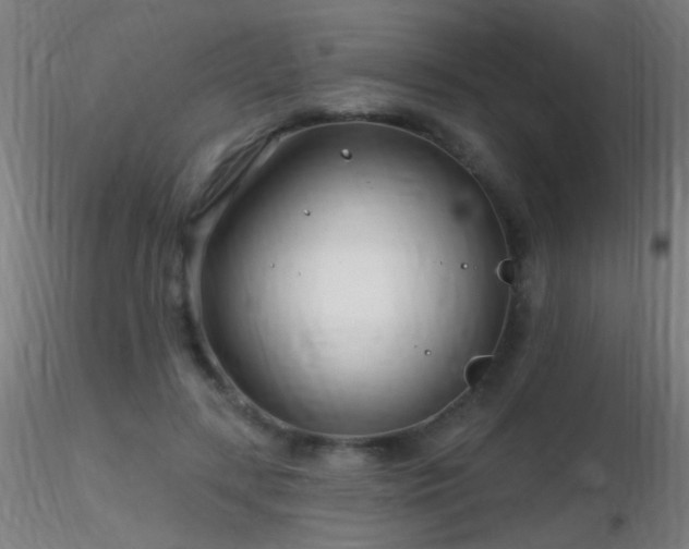 X0000116790547200912181256
