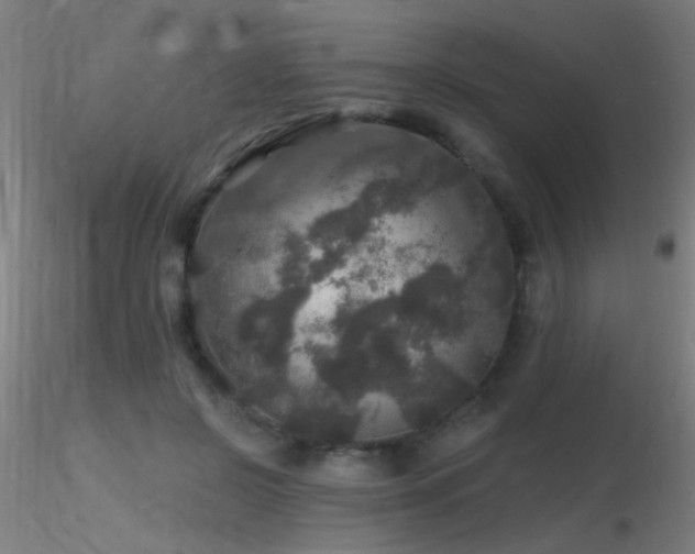 X0000116790550200912181256