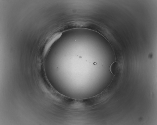 X0000116790551200912181256