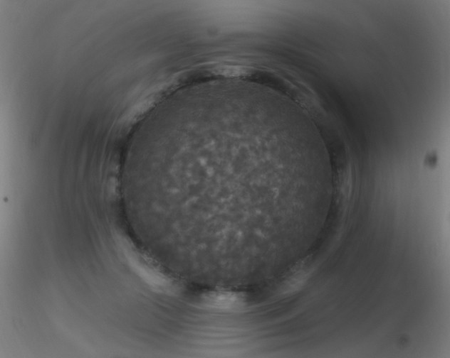X0000116790553200912181256
