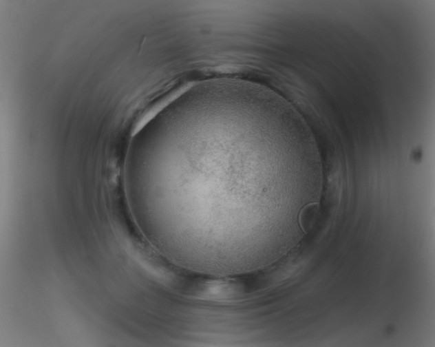 X0000116790555200912181256