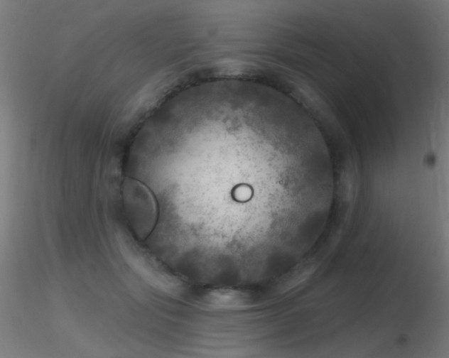 X0000116790557200912181256