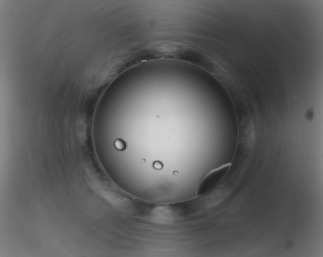 X0000116790562200912181256
