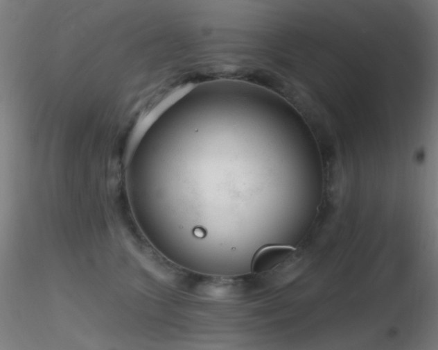 X0000116790563200912181256