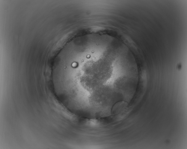 X0000116790565200912181256