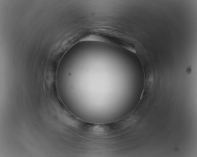 X0000116790566200912181256
