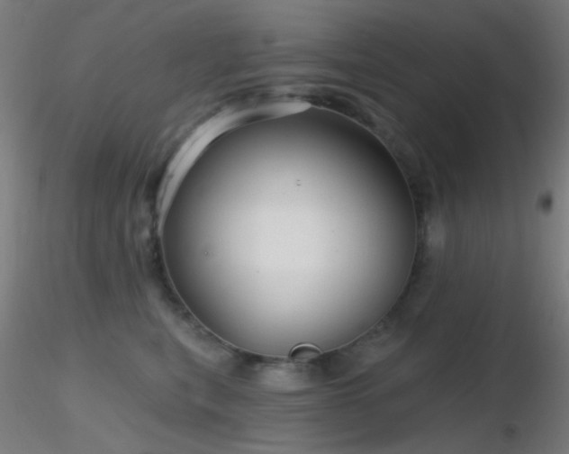 X0000116790567200912181256
