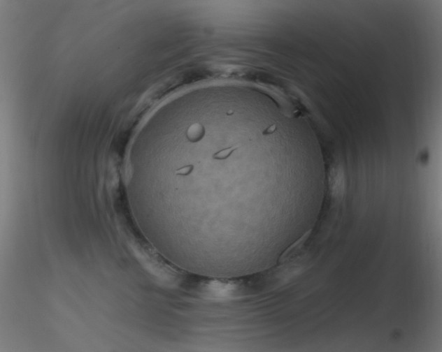 X0000116790570200912181256
