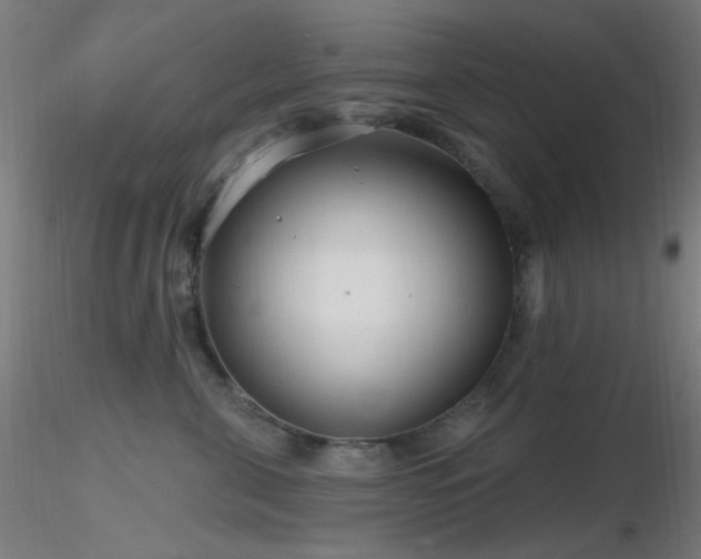 X0000116790571200912181256