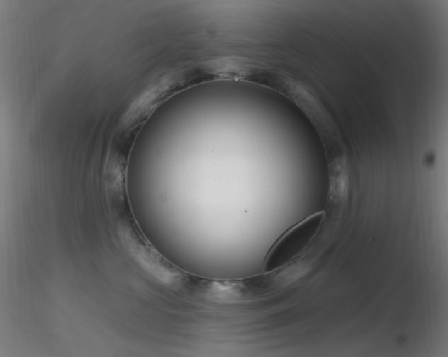 X0000116790573200912181257