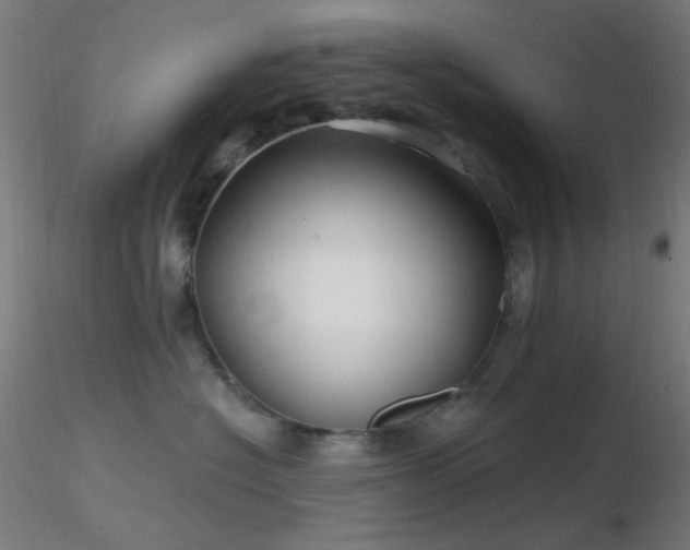 X0000116790574200912181257
