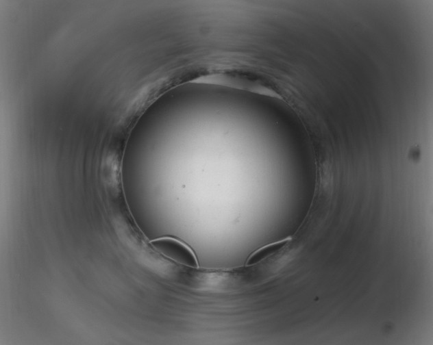 X0000116790575200912181257