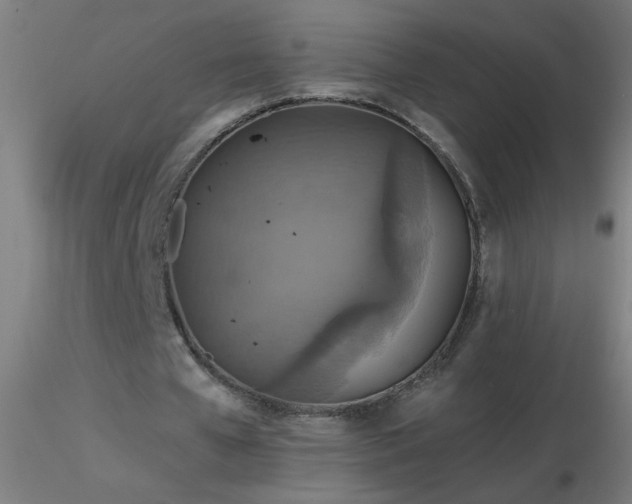 X0000116790577200912181256