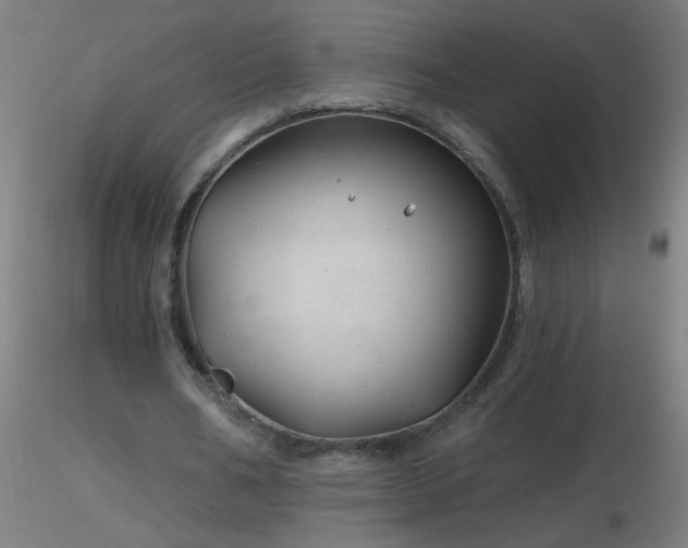 X0000116790578200912181256