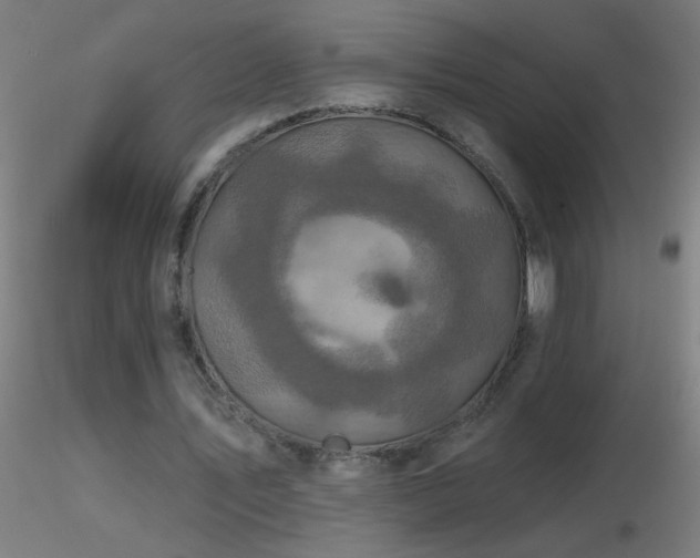 X0000116790579200912181256