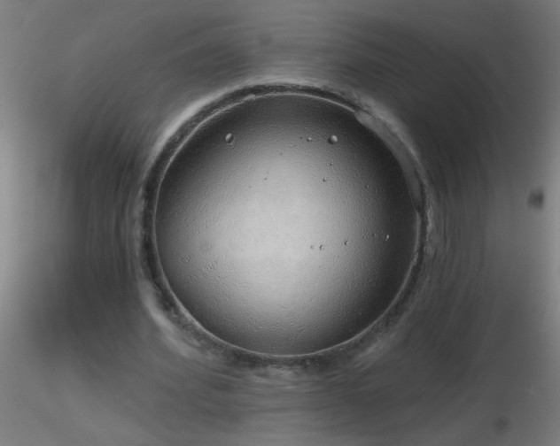 X0000116790580200912181256