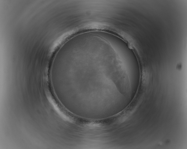 X0000116790581200912181256