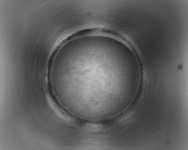 X0000116790582200912181256